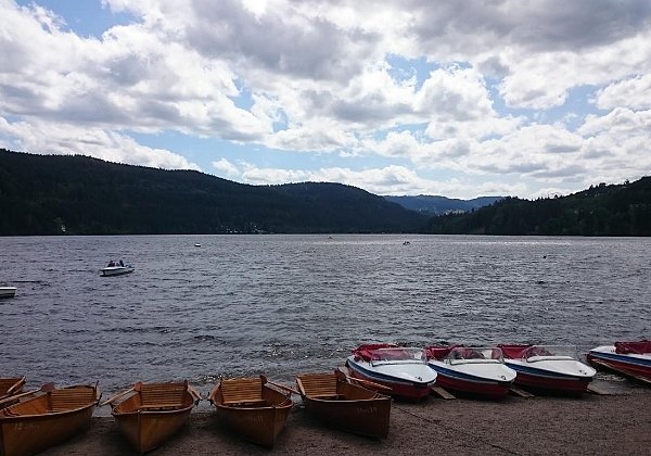 Schwarzwald Juli 2015