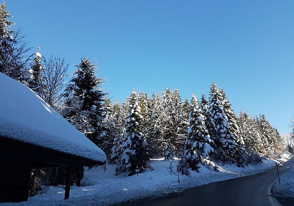 Schneeparadies Schwarzwald