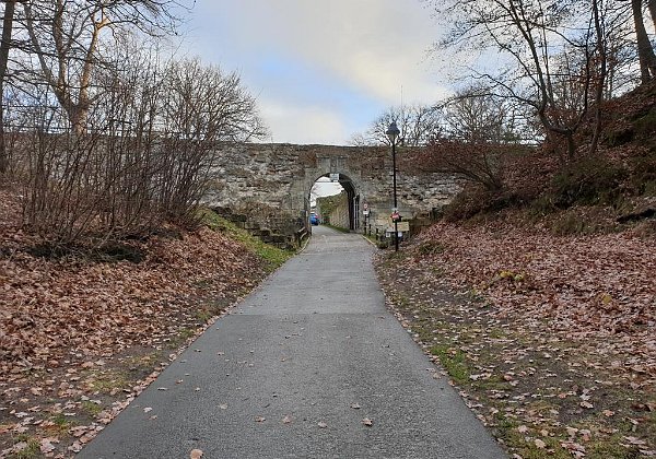 Ruine Regenstein