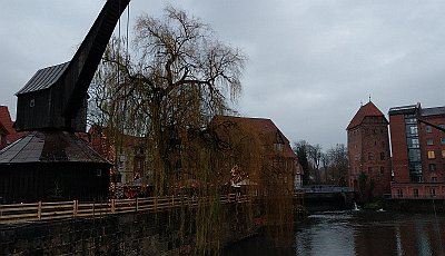 IMG_20181220_155035