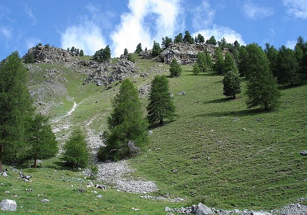 Wanderung im Schnee