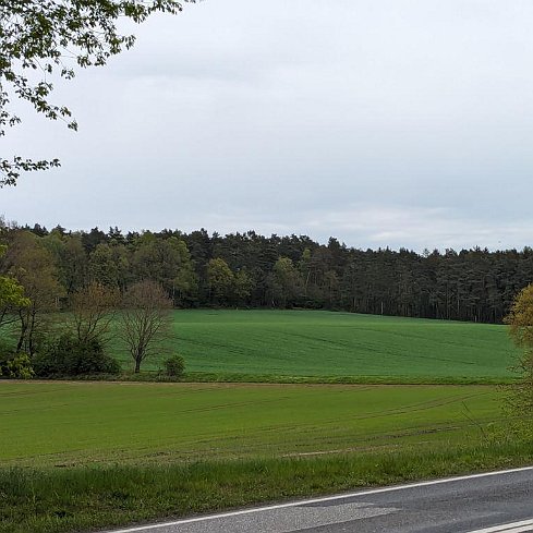 Blick auf die Harburger Berge Blick auf die Harburger Berge