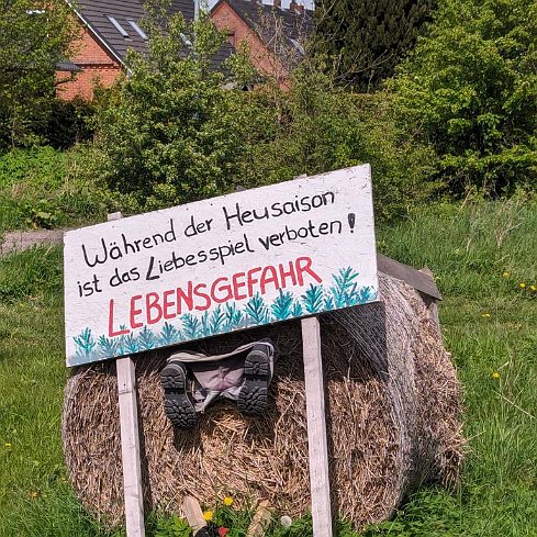 Humor auf dem Land