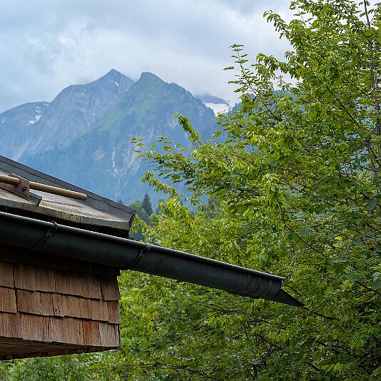 PXL_20250627_150910722