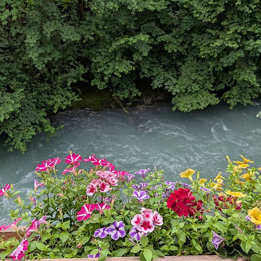 PXL_20250627_150929164