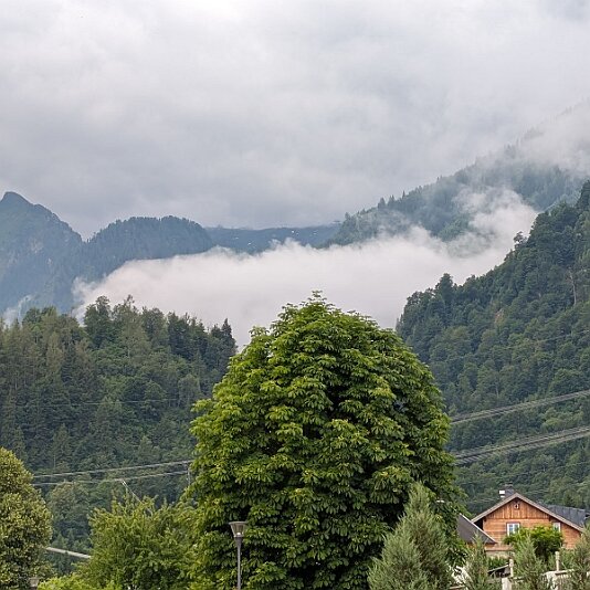 PXL_20250628_064153022