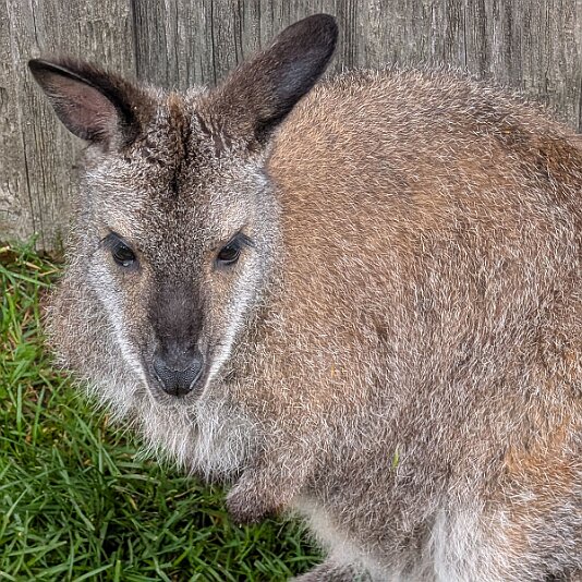 PXL_20250628_073411510