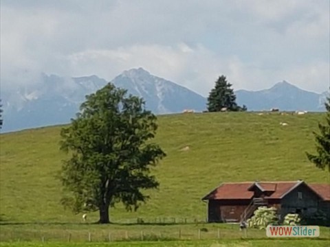 Schönes Alpenpanorama